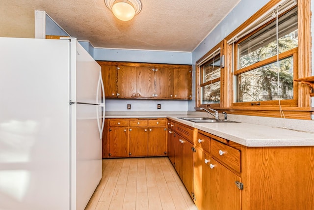 kitchen with a textured ceiling, white refrigerator, light hardwood / wood-style floors, and sink