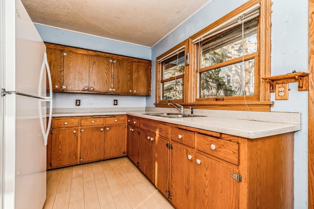 kitchen featuring a textured ceiling, white refrigerator, light wood-type flooring, and sink