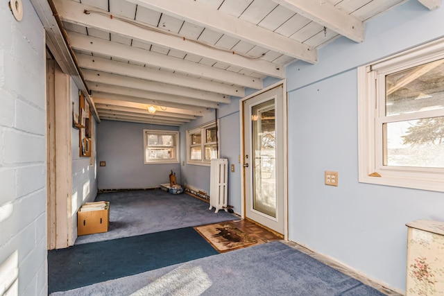 interior space featuring radiator