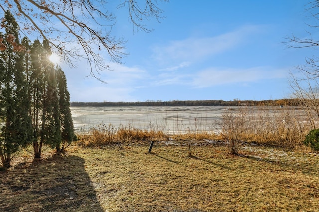 view of yard with a rural view