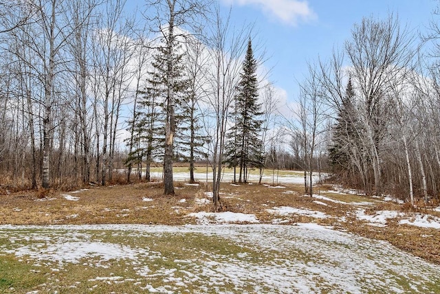 view of yard covered in snow