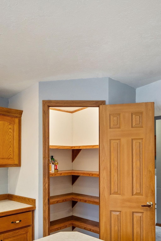 view of pantry