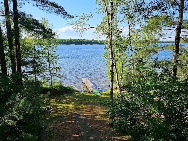 water view with a dock