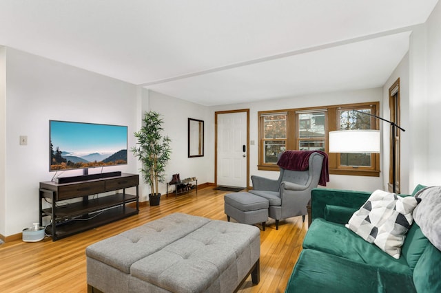 living room with wood-type flooring