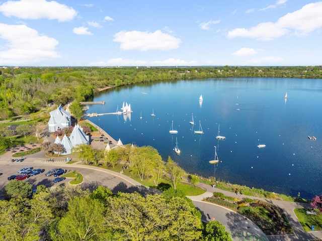 bird's eye view featuring a water view