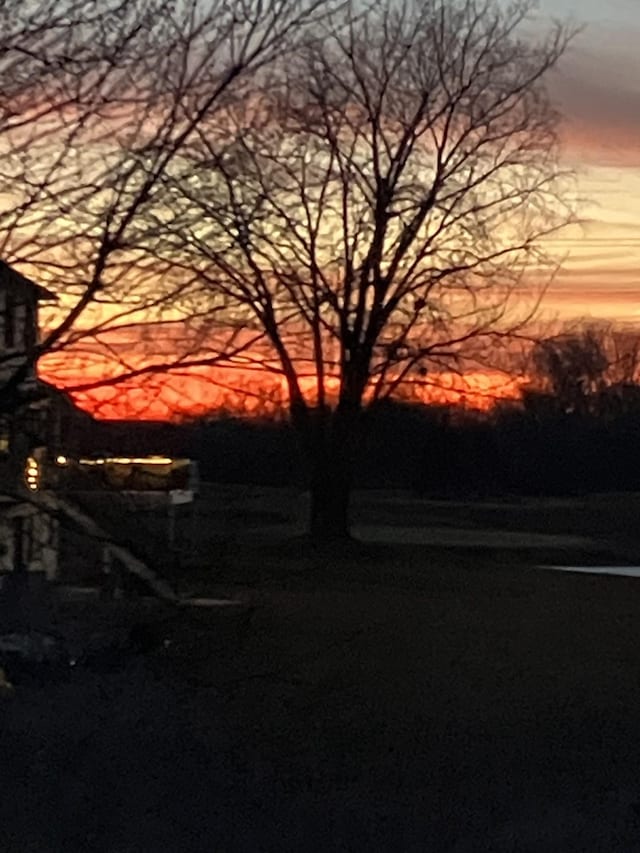 view of yard at dusk