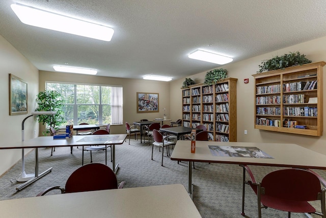 carpeted office with a textured ceiling