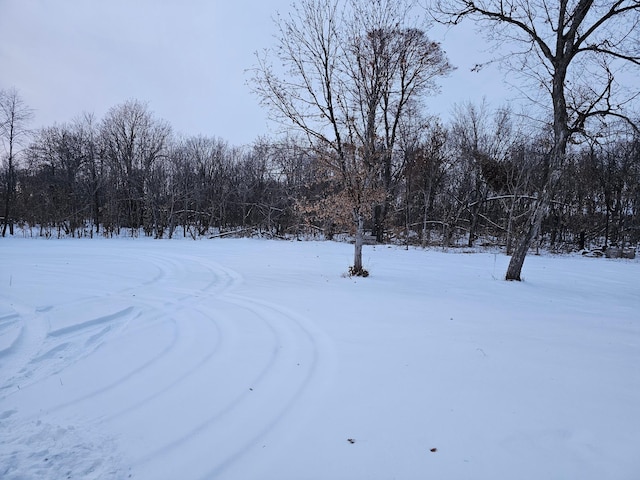 view of yard covered in snow