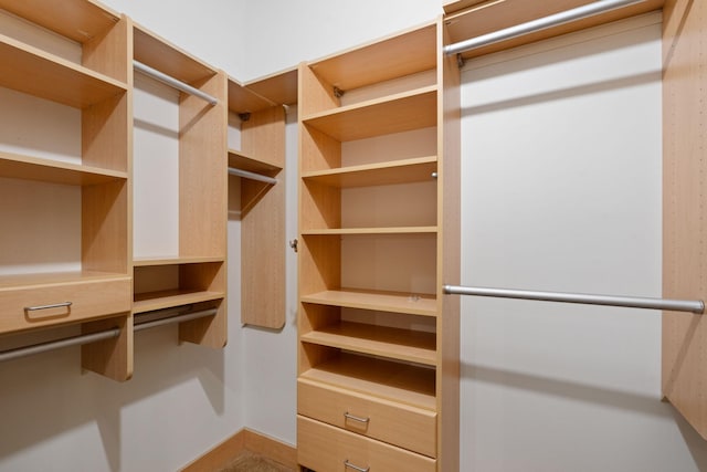 view of spacious closet