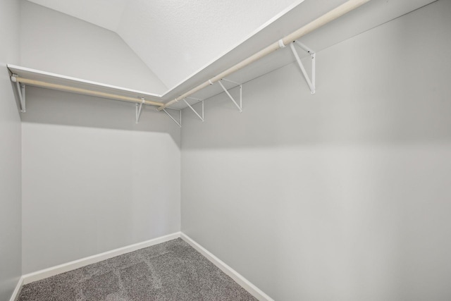 walk in closet featuring carpet flooring