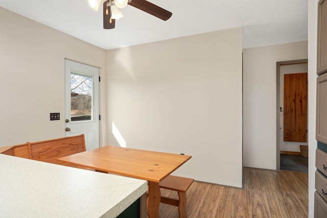 dining space featuring a ceiling fan and light wood finished floors