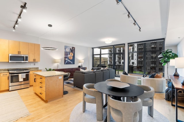 dining room with light hardwood / wood-style floors