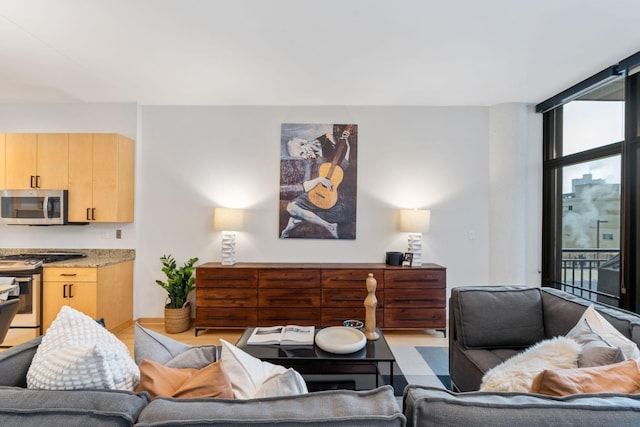 living room featuring light hardwood / wood-style floors and a wall of windows