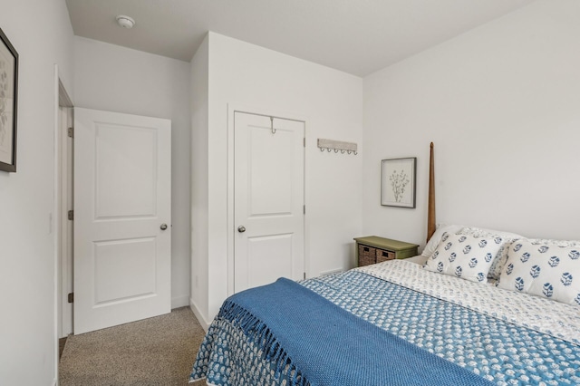 bedroom with a closet and carpet floors