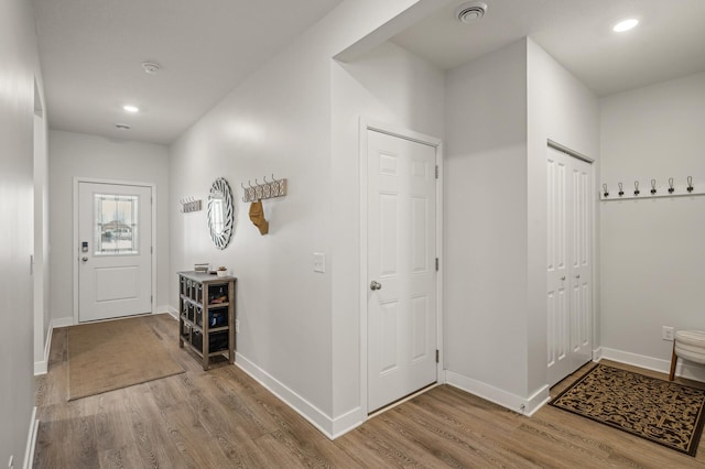 foyer entrance with wood-type flooring