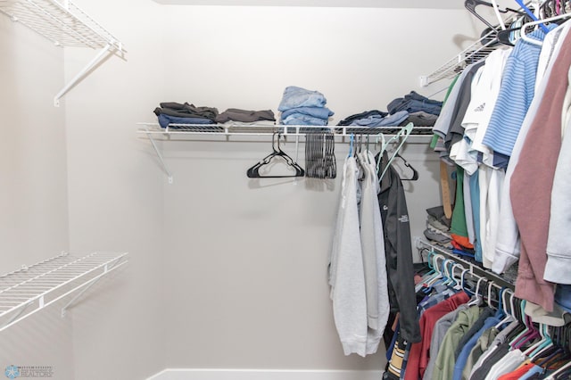 view of spacious closet