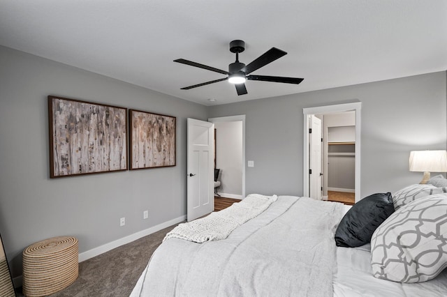 carpeted bedroom with a walk in closet, ceiling fan, and a closet