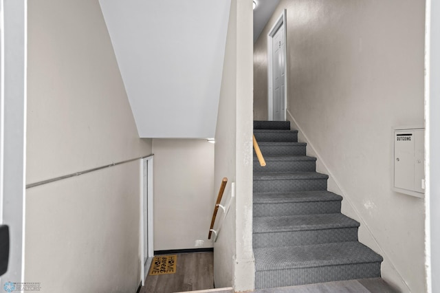 staircase with wood-type flooring