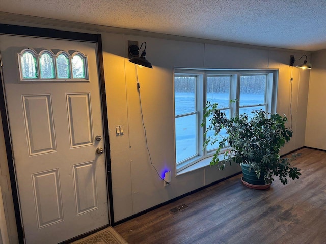 66156 County Road 132, Northome, MN 56661 - entryway featuring hardwood / wood-style floors, a textured ceiling, and plenty of natural light