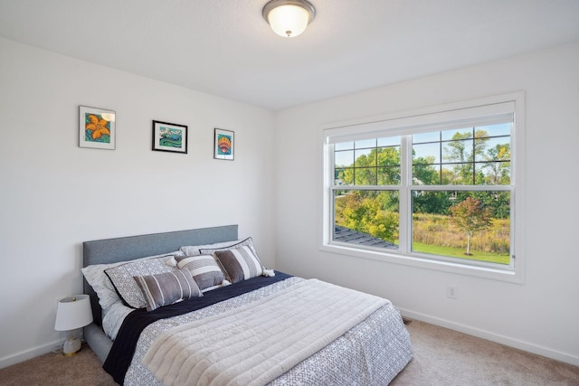 bedroom featuring carpet floors