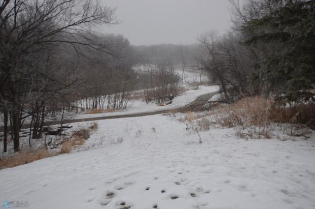 view of yard covered in snow