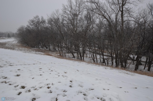 view of yard layered in snow