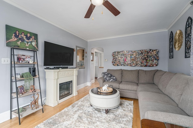 living room featuring ceiling fan, wood-type flooring, and crown molding