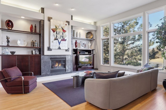3529 Green Ridge Rd, Minnetonka, MN 55305 - living room featuring wood finished floors, a fireplace, and built in shelves