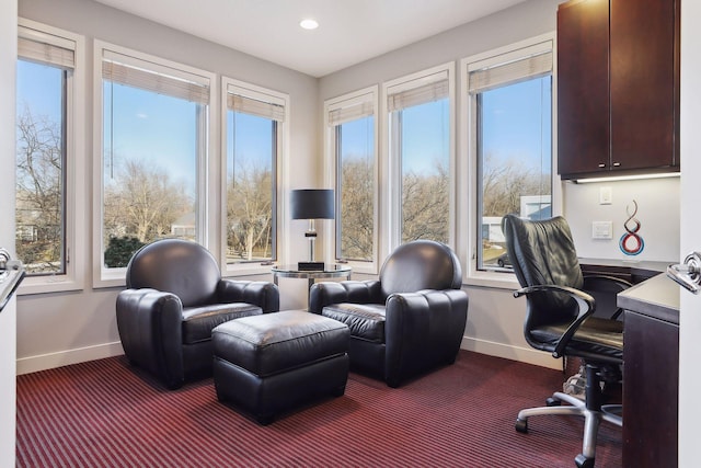 3529 Green Ridge Rd, Minnetonka, MN 55305 - office with healthy amount of natural light, baseboards, dark carpet, and recessed lighting