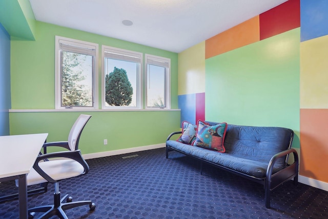 3529 Green Ridge Rd, Minnetonka, MN 55305 - carpeted office with baseboards