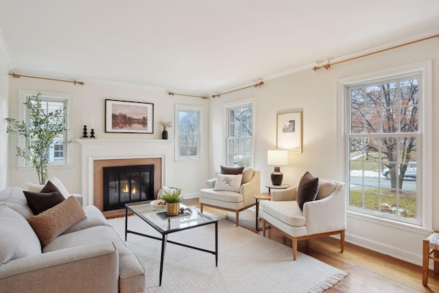 living room with ornamental molding and light hardwood / wood-style flooring