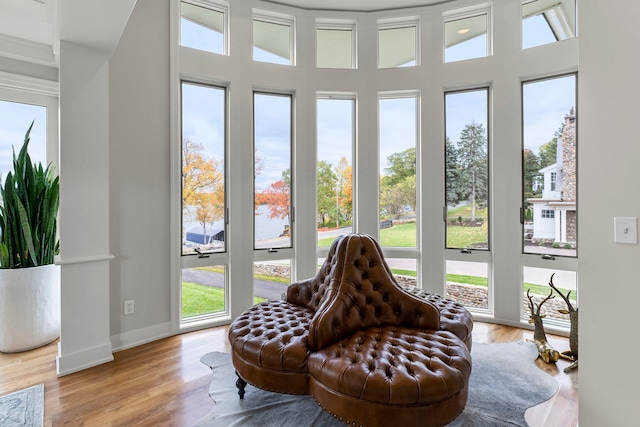 sitting room with light hardwood / wood-style flooring