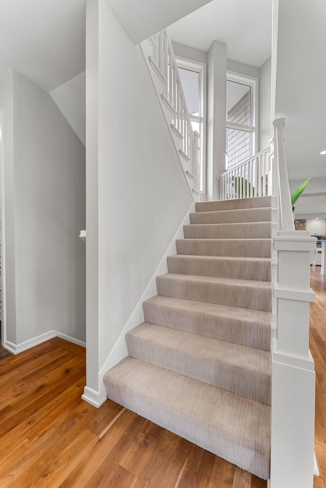 staircase with hardwood / wood-style flooring