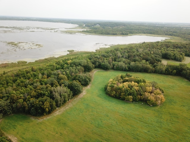 TBD 460th St, Pine Lake Twp MN, 56644 land for sale