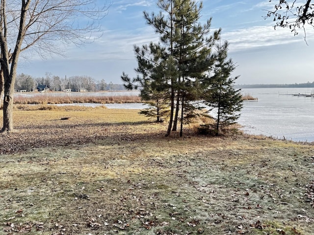 view of yard featuring a water view