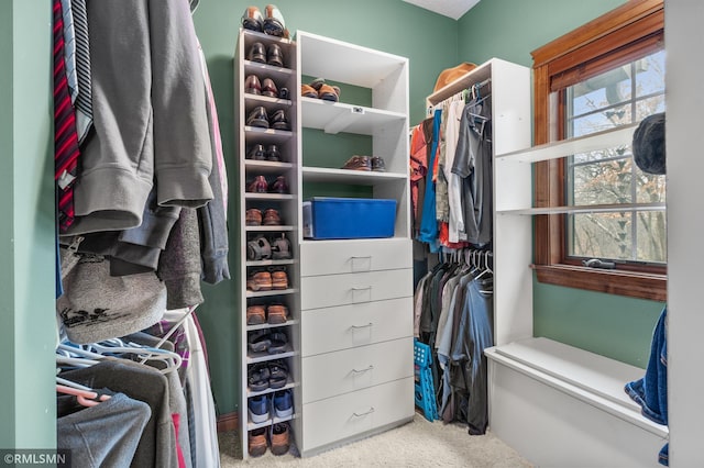 walk in closet with carpet floors