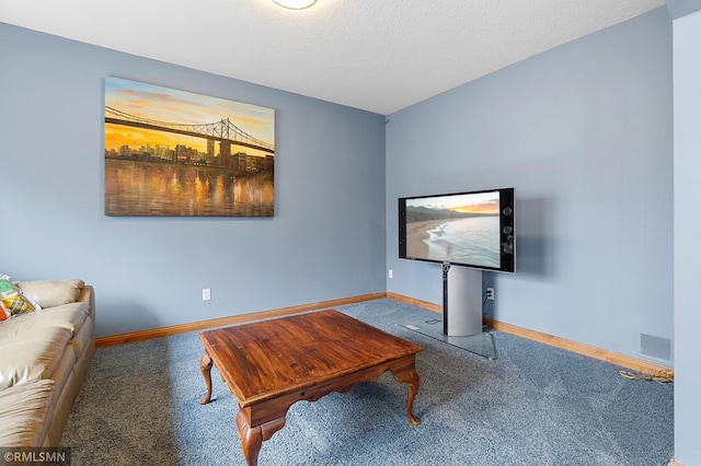 carpeted living room with a textured ceiling