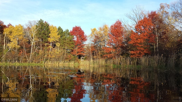 view of nature featuring a water view