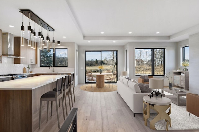 living room with sink, a tray ceiling, and light hardwood / wood-style floors