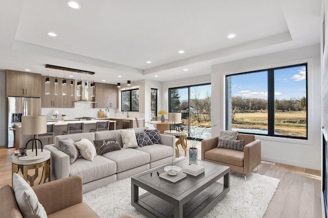 living room with sink, light hardwood / wood-style floors, and a raised ceiling