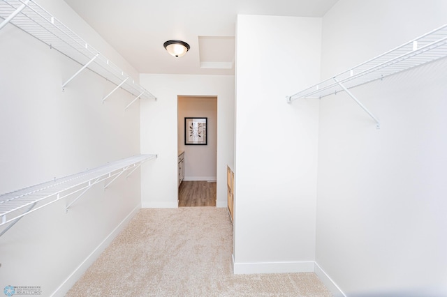 walk in closet with light carpet