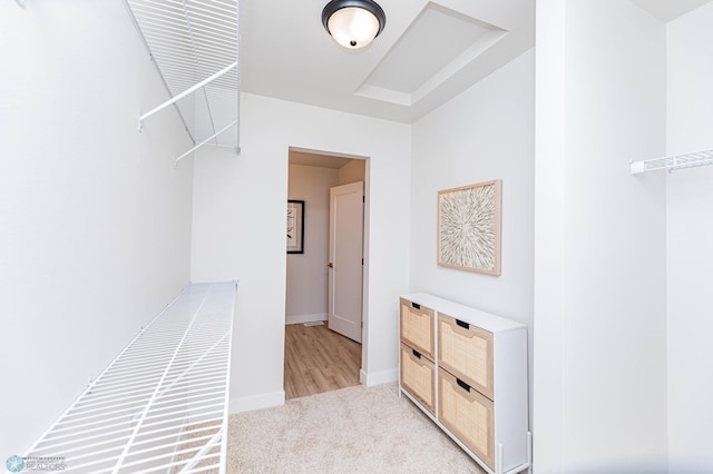 spacious closet featuring light carpet