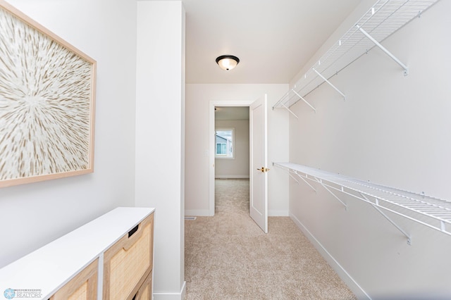 walk in closet with light carpet