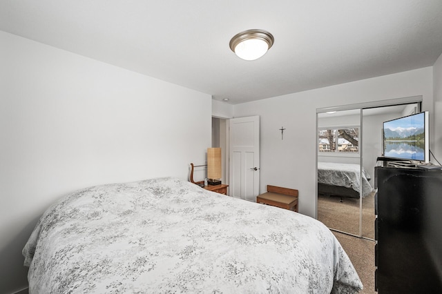 carpeted bedroom featuring a closet