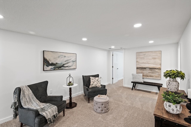 sitting room featuring carpet floors