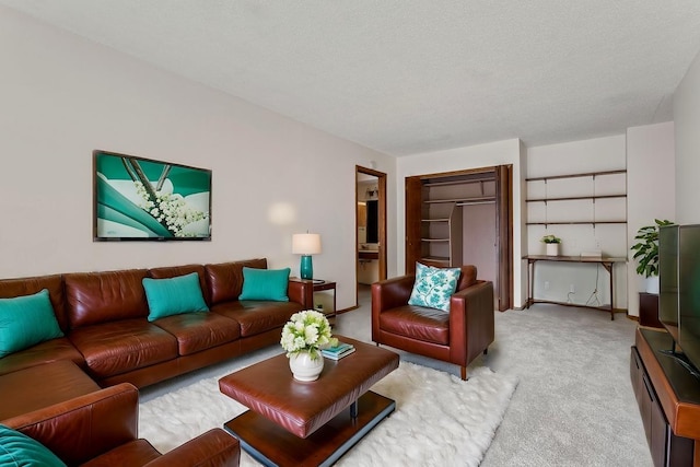 carpeted living room with a textured ceiling