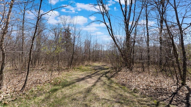 24455 Crocus St NW, Saint Francis, MN 55070 - view of road with a forest view