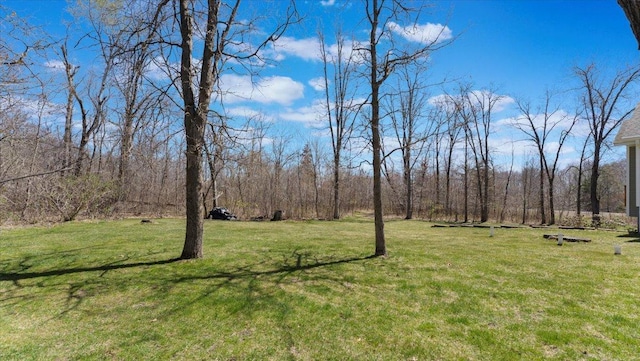 24455 Crocus St NW, Saint Francis, MN 55070 - view of yard