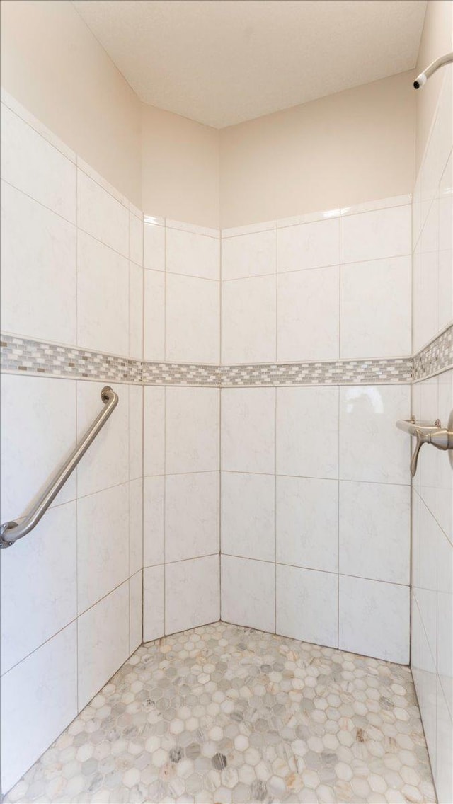 24455 Crocus St NW, Saint Francis, MN 55070 - bathroom with a tile shower