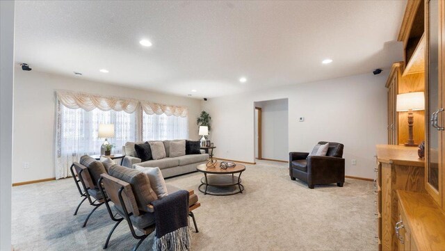 24455 Crocus St NW, Saint Francis, MN 55070 - living room featuring recessed lighting, baseboards, and light colored carpet